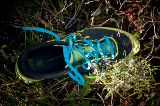 icebug.acceleritas3.6